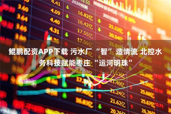 鲲鹏配资APP下载 污水厂 “智” 造清流 北控水务科技赋能枣庄 “运河明珠”
