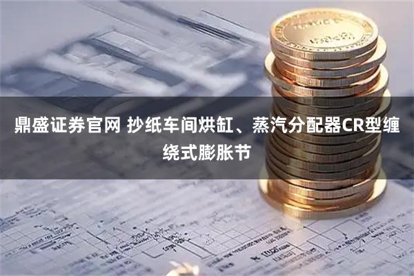 鼎盛证券官网 抄纸车间烘缸、蒸汽分配器CR型缠绕式膨胀节