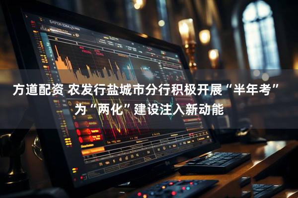方道配资 农发行盐城市分行积极开展“半年考” 为“两化”建设注入新动能