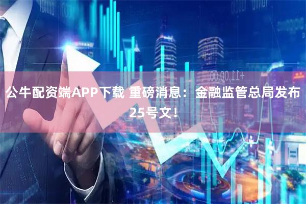 公牛配资端APP下载 重磅消息：金融监管总局发布25号文！