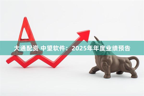 大通配资 中望软件：2025年年度业绩预告