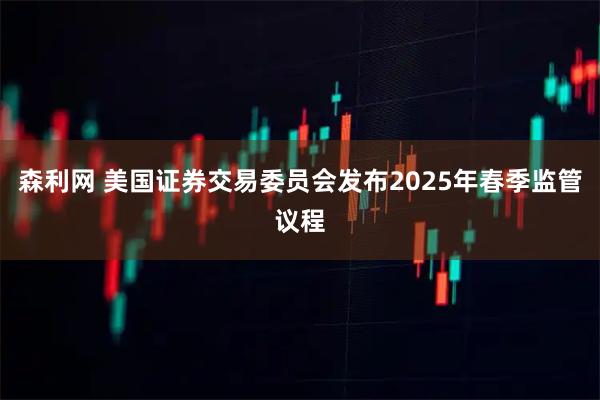 森利网 美国证券交易委员会发布2025年春季监管议程