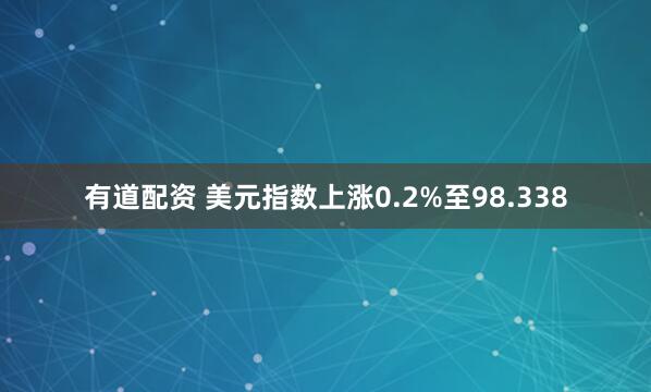 有道配资 美元指数上涨0.2%至98.338